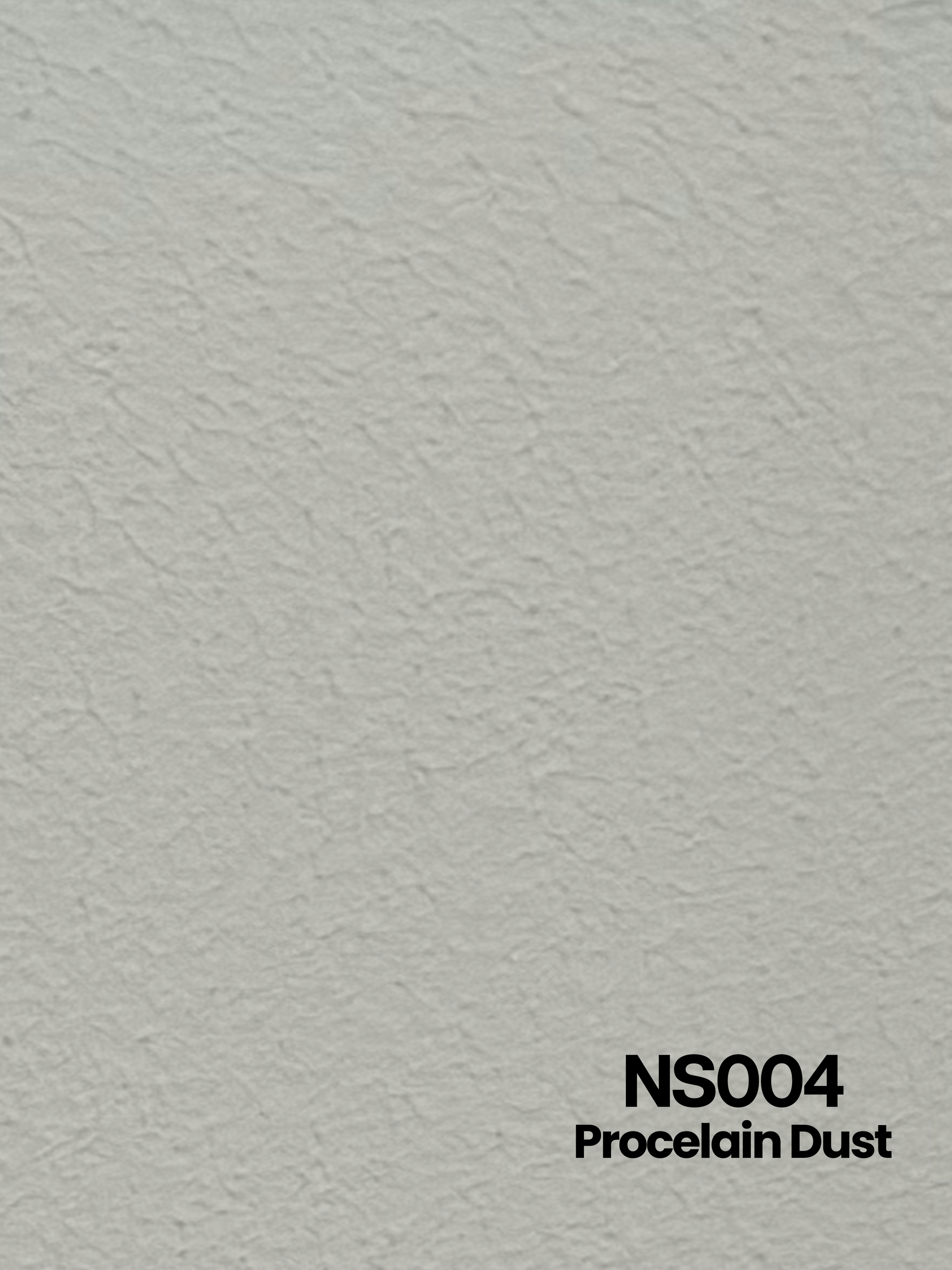 NS004_Procelain Dust